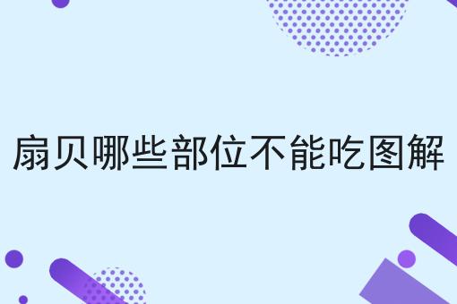 扇贝哪些部位不能吃图解