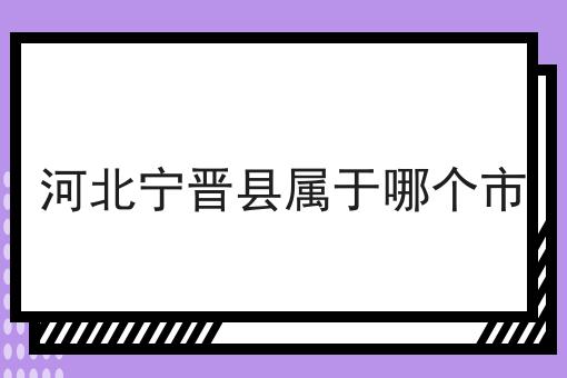 河北宁晋县属于哪个市