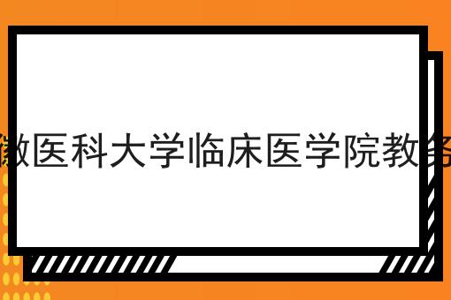 安徽医科大学临床医学院教务处