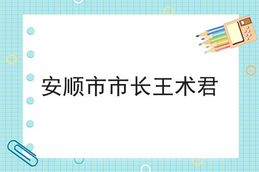 安顺市市长王术君